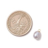 Natural Cultured Freshwater Pearl Rice Charms X-PALLOY-JF05078-01-2