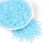 Baking Paint Glass Seed Beads GLAA-T023-43E-3