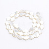 Natural White Shell Mother of Pearl Shell Beads SSHEL-L017-006-3