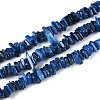 Natural Freshwater Shell Beads Strands SHEL-T020-40C-1