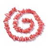 Natural Freshwater Shell Beads Strands BSHE-I016-01-2