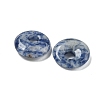 Natural Blue Spot Jasper Donut/Pi Disc Charms G-G142-02E-2