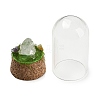 Natural Quartz Crystal Nuggets Display Decoration with Glass Dome Cloche Cover DJEW-B009-03B-2