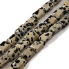 Natural Dalmatian Jasper Beads Strands G-G085-A13-01-1