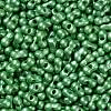 Glass Seed Beads SEED-L011-04A-01-3