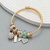 Adjustable Alloy & Stainless Steel Charm Bangles WG0E472-04-1