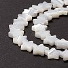 Natural Trochid Shell/Trochus Shell Beads SSHEL-O001-25B-02-4