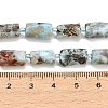 Natural Larimar Beads Strands G-F836-B09-01-4
