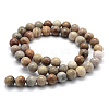 Natural Fossil Coral Beads Strands G-G763-12-4mm-2