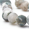 Natural Tree Agate Beads Strands G-T106-038-3