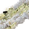 Natural Prehnite & Blue Lace Agate Beads Strands G-L610-A20-01-1