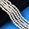 Natural Cultured Freshwater Pearl Beads Strands PEAR-N014-05B-6