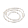 125Pcs Natural Freshwater Shell Beads LS-SHEL-B002-01F-1