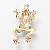 Enamel Style Alloy Pendants X-ENAM-S108-224A-2