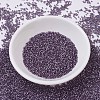 MIYUKI Delica Beads SEED-J020-DB0695-2