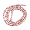 Natural Rhodonite Beads G-H042-B20-01-3