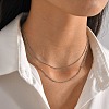 304 Stainless Steel Double-Layer Necklace NJEW-Q321-01P-5