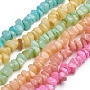 Shell Beads Strands BSHE-G026-02-1