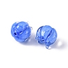 Handmade Lampwork Beads LAMP-G142-02B-5