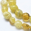 Natural Yellow Opal Beads Strands G-E483-63A-3