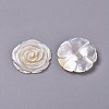 Natural White Shell Mother of Pearl Shell Cabochons SSHEL-L013-12-2