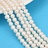 Natural Cultured Freshwater Pearl Beads Strands PEAR-I007-07O-13-1