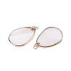 Natural Freshwater Shell Pendants SHEL-N036-06-2