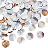 100Pcs Natural Akoya Shell Buttons BUTT-PH0001-41C-1
