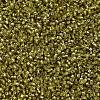 MIYUKI Delica Beads SEED-X0054-DB2164-3