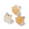 Natural Citrine Pendants G-C002-02G-1