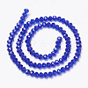 Glass Beads Strands LS-EGLA-A034-T10mm-D06-2