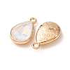 Alloy Glass Pendants GL-CBA7A25-02B-2