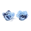 Smudged Color Frosted Resin Cabochons RESI-TAC0018-13B-1