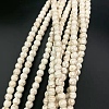 Synthetic Turquoise Beads Strands G-WH0022-21B-1