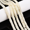 Natural White African Opal Beads Strands G-N346-03A-10-1