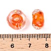 Handmade Lampwork Beads Strands LAMP-T021-15H-4