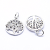 Brass Micro Pave Cubic Zirconia Charms ZIRC-L070-06P-2