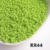 Opaque 8/0 Glass Seed Beads SEED-I013-3mm-RR44-1