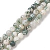 Natural Tree Agate Beads Strands G-S281-15-6mm-2