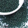 MIYUKI Round Rocailles Beads X-SEED-G007-RR0338-1