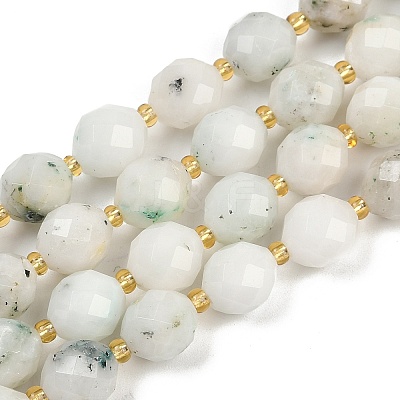Natural White African Opal Beads Strands G-N342-149I-14-1