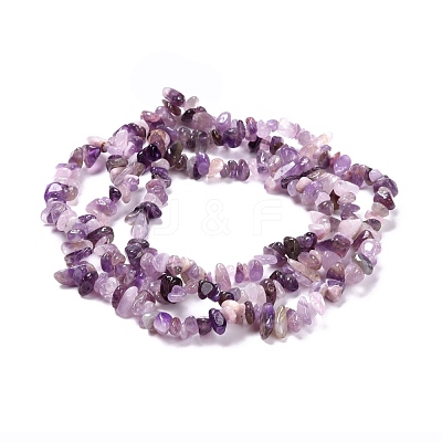 Natural Amethyst Beads Strands G-P332-07-1