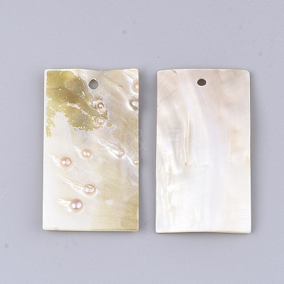Shell Big Pendants SHEL-T012-23-1