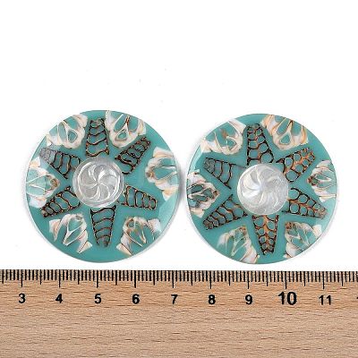 Dyed Natural Shell Cabochons SHEL-P018-01B-01-1