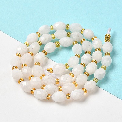 Natural Rainbow Moonstone Beads Strands G-H297-C12-01-1