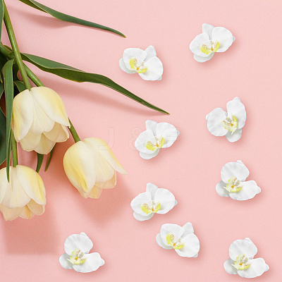 Cloth Imitation Phalaenopsis Amabilis DIY-WH20002-197-1
