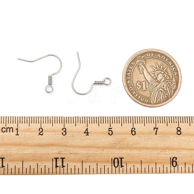 Tarnish Resistant 316 Surgical Stainless Steel Earring Hooks X1-STAS-E009-2-1