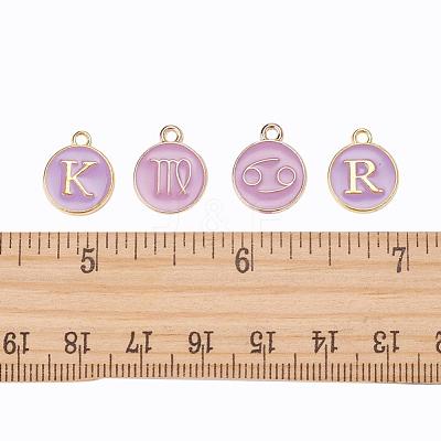 2 Sets 2 Styles Golden Plated Alloy Enamel Charms ENAM-YW0001-28B-1