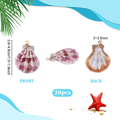 30Pcs Natural Shell Pendants PALLOY-PH01840-1