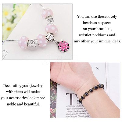Tibetan Style Alloy European Beads TIBEB-PH0004-63-1
